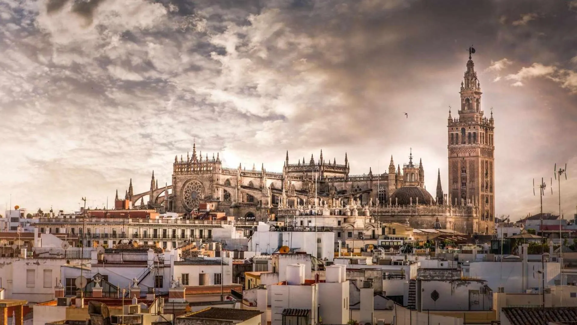 Rentalsevilla Bellavista - La Palmera España